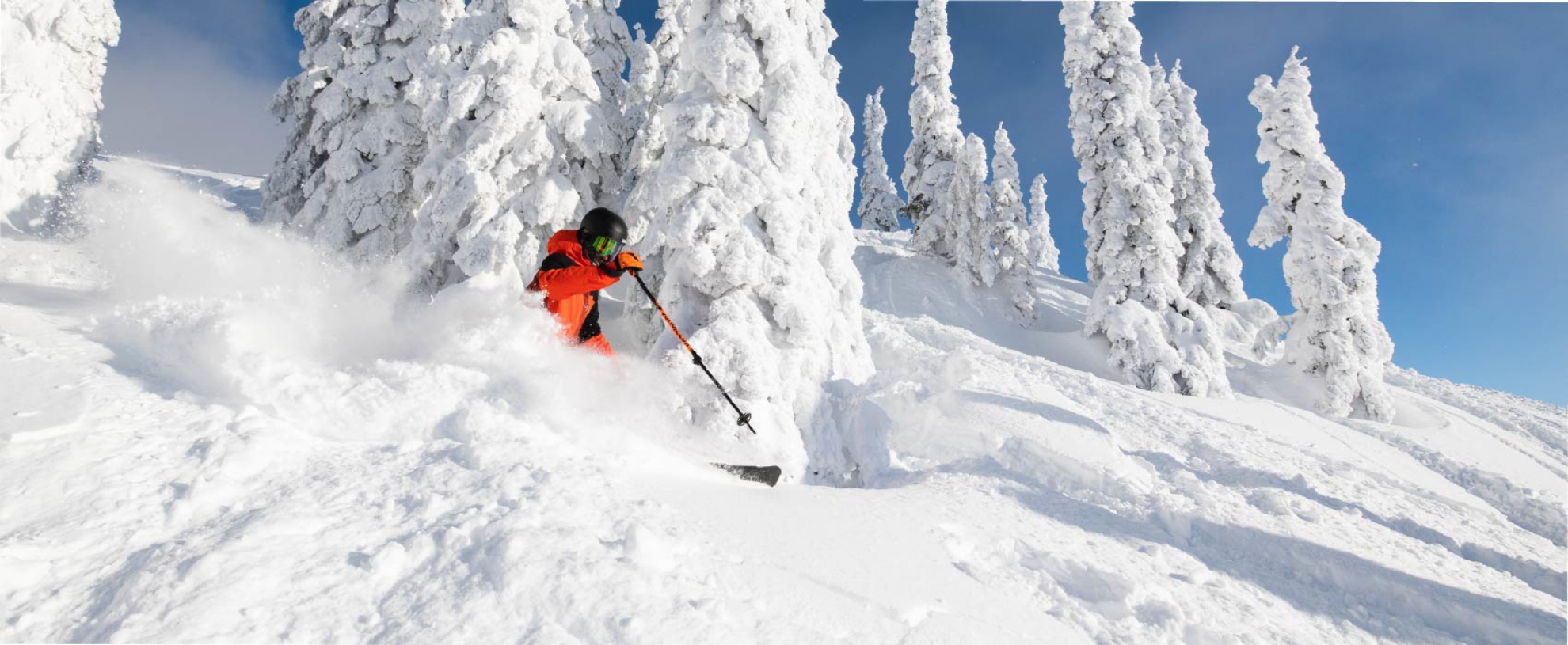 Picture of UBCO My1 Alpine Season Student Pass