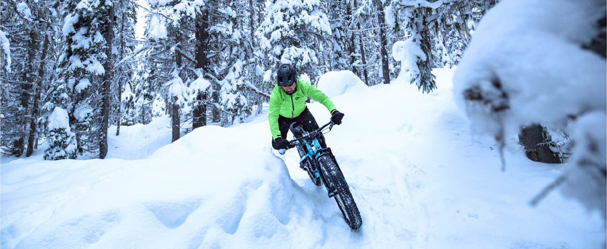 Picture of Fat Bike Day Ticket